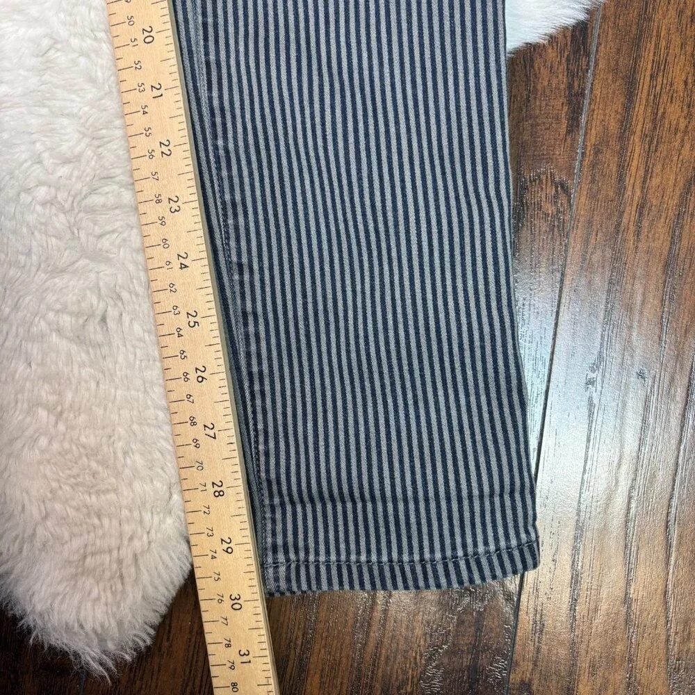 Level 99 Liza Skinny Jeans‎ 30 Striped Blue Gray Mid-Rise Stretch Women's